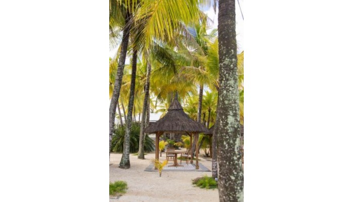 Paradise Cove Boutique Hotel poza 12